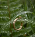 Gold Double Layer Pave Hoop Earrings