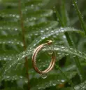 Gold Double Layer Pave Hoop Earrings